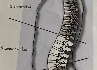 TK7/26 UE - Anatomie in Theorie und Praxis